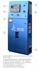 Дизельный генератор ТСС АД-250С-Т400-1РМ5 в контейнере — фото 4